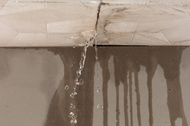 Professional Structural Drying technician working in Roanoke, IN